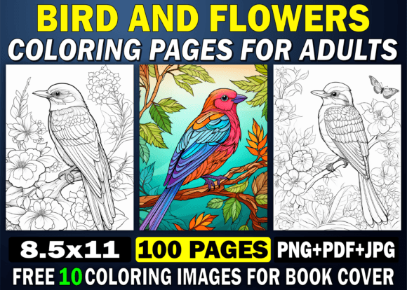 Adult Bird and Flower Coloring Pages KDP Design Guide